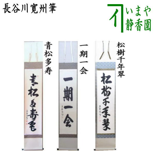 茶器/茶道具 掛軸（掛け軸）】 一行 青松多寿色又は一期一会又は松樹