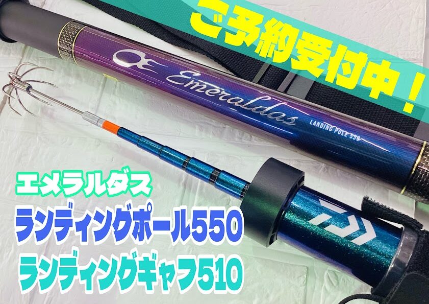 オススメ】最強ティップランエギ！『ダートマックスTR30g-BK』 | 釣具