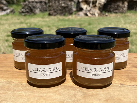 富士山麓の「にほんみつばち」HONEY 天然はちみつ 50g×5本セット