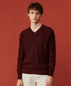 JOSEPH ABBOUD / ジョセフ アブード （メンズ） ニット・セーター