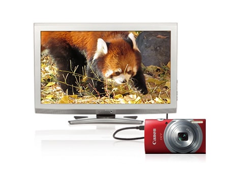 ヨドバシ.com - キヤノン Canon IXY 130 RE [コンパクトデジタルカメラ