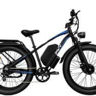 4インチのファットタイヤを履いた電動アシスト自転車「EZ-Rider