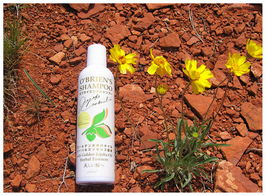 オブライエンズシャンプー O'BRIEN'S SHAMPOO 400ml - Life & Natural