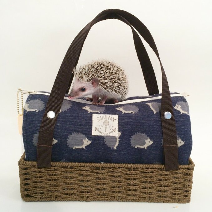 ハリネズミ キャリーバッグ ＊Navy＊ - handmade SWINY | minne byGMO