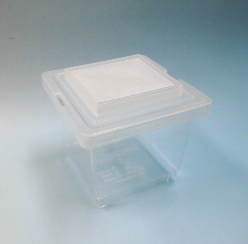 コバエシャッタータイニーケース | モンスター