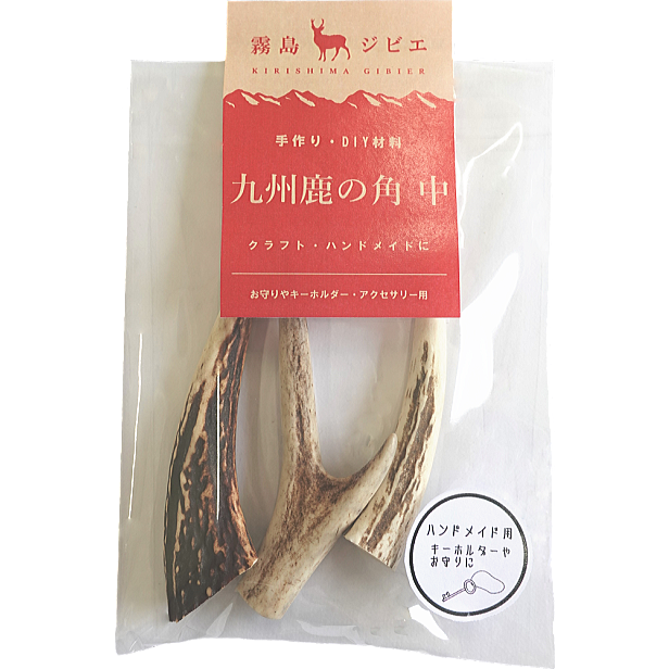 九州鹿の角 中 クラフト・ハンドメイド用 | 霧島ジビエ＜公式＞