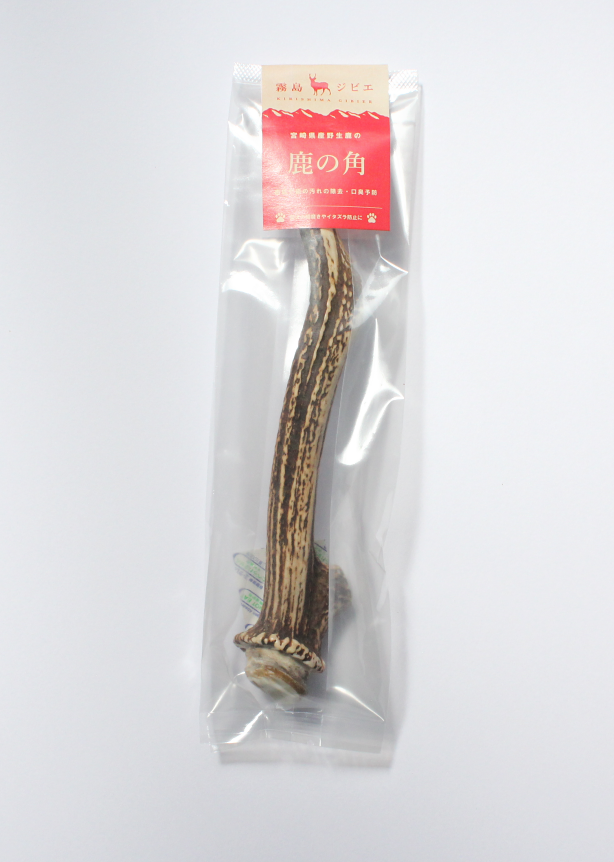 鹿の角 大1本入り | 霧島ジビエ＜公式＞