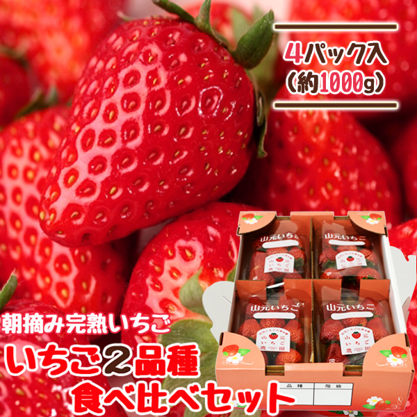 朝摘み完熟いちご 2品種食べ比べセット 250g×4パック | 山元いちご