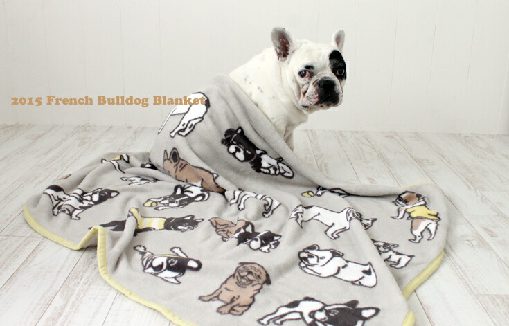犬　ドッグ　ラグマット　犬柄　フレンチブルドッグ　カーペット　ブランケット 57405d7be84f035f0324a3c7ce7a1f