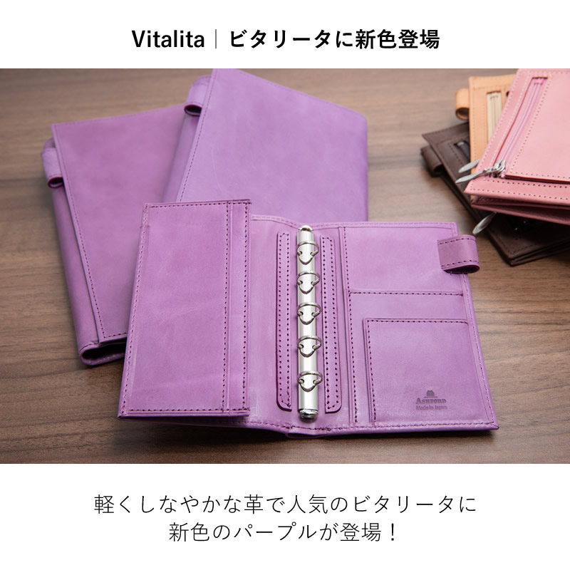 ASHFORD システム手帳 ビタリータ ミニ6+A6 13mm ライフオーガナイザー