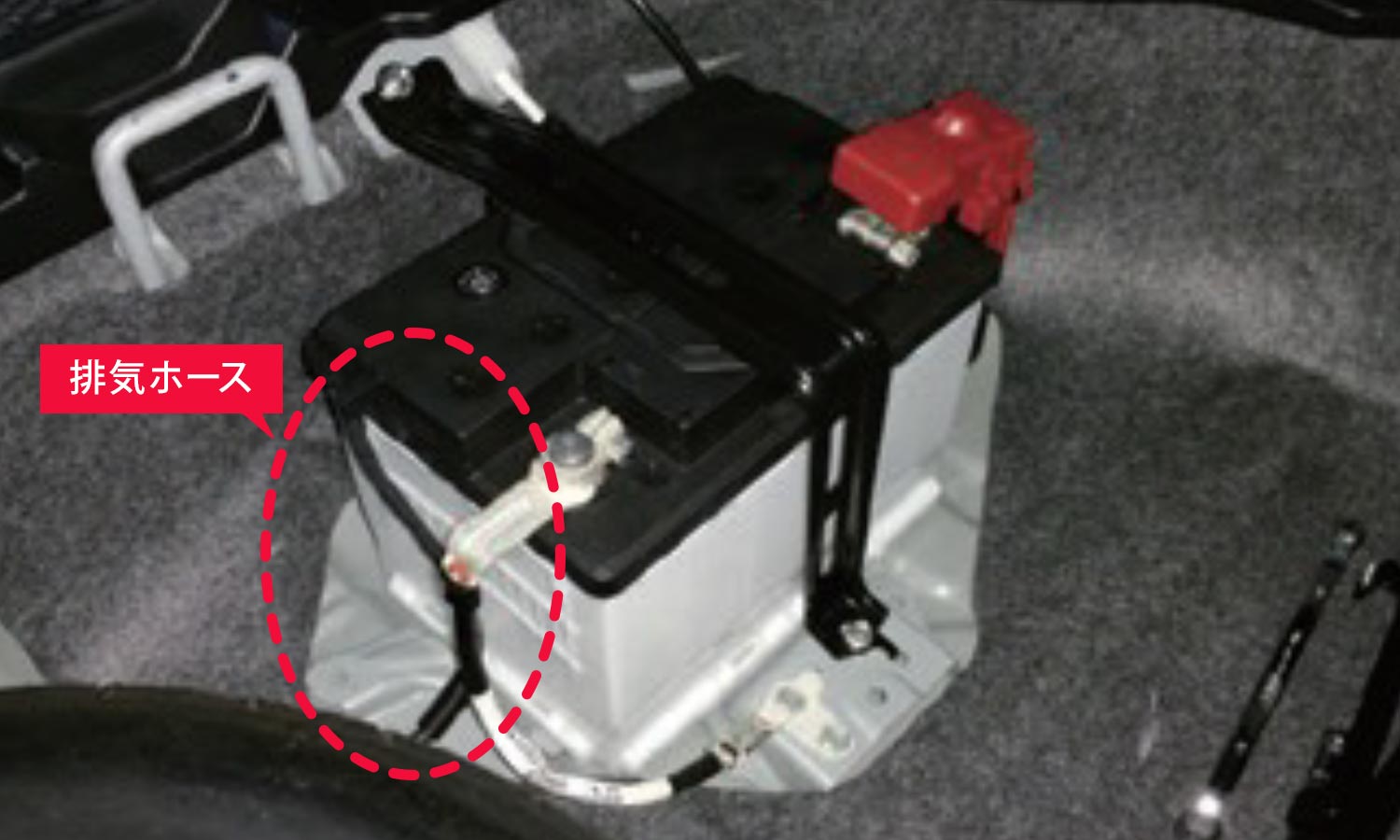 楽天市場】【送料無料】 ACデルコ 欧州車用メンテナンスフリー