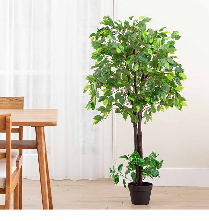 楽天市場】人工観葉植物 光触媒 ベンジャミン 2本セット フェイク