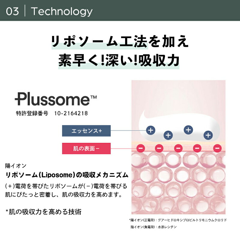 楽天市場】【店内全品最大15％OFF】 箱なし センテリアン24 マデカ