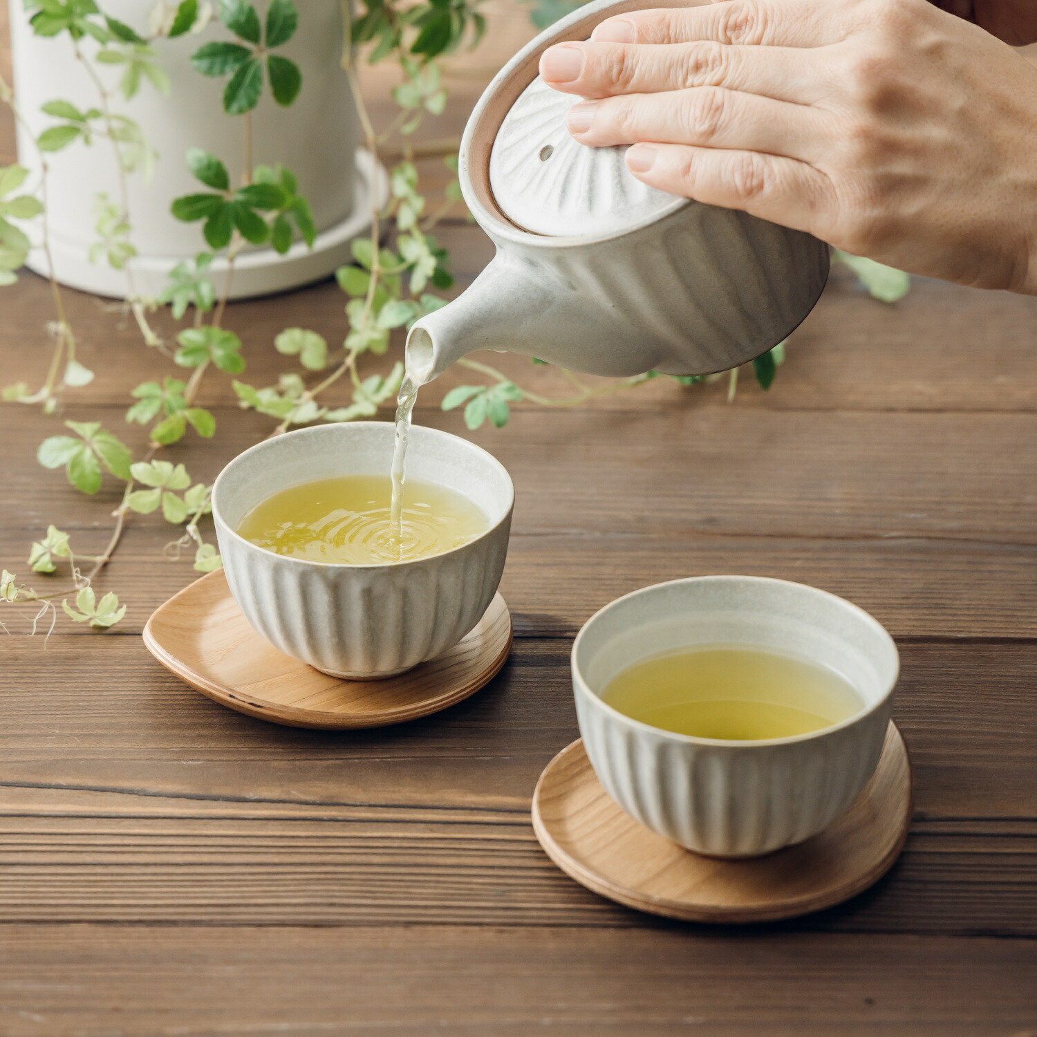 楽天市場】湯呑み 茶托 5客セット 粉引グレー 送料無料 来客用