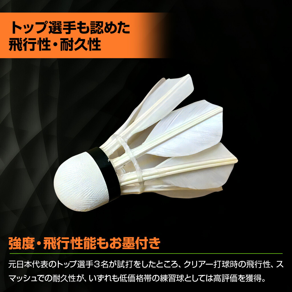 楽天市場】【最大360円引クーポン配布中!23日1:59までお買い物マラソン