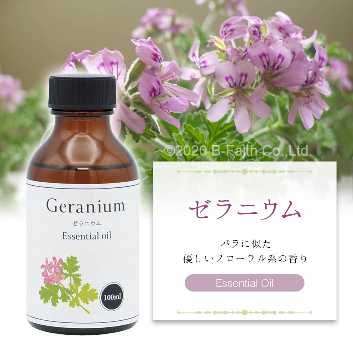 geranium01.jpg