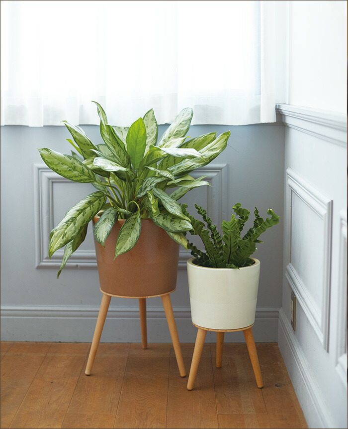 楽天市場】【植木鉢】エルナ 54【植木鉢 おしゃれ 鉢カバー ガーデン