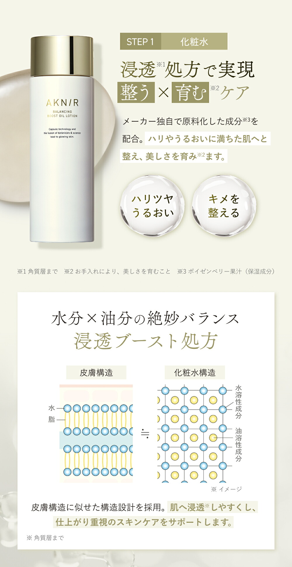 楽天市場】【50%OFF】AKNIR（アクニー）公式【梨花開発】モイスチャー