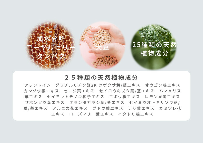 楽天市場】enchanty. cleansing and face wash エンチャンティー 洗顔