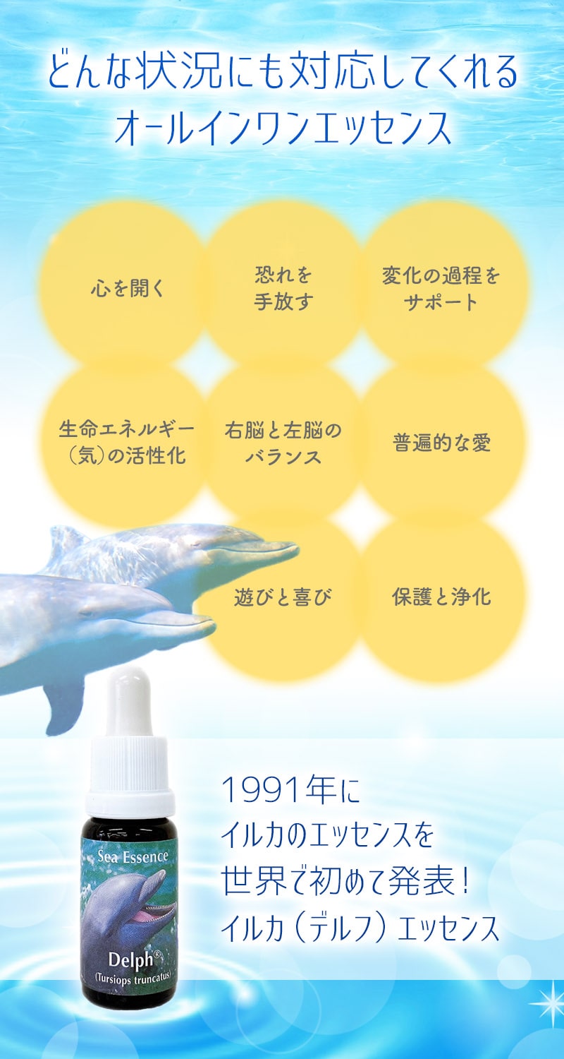 楽天市場】【お買い物マラソン最大2222円割引クーポン配布中】イルカ