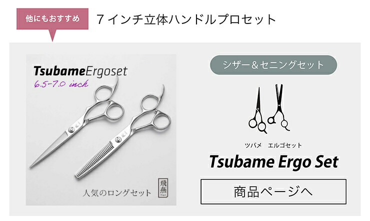 楽天市場】【飛燕シザー】【大きいサイズのシザー】Hien Tsubame GT
