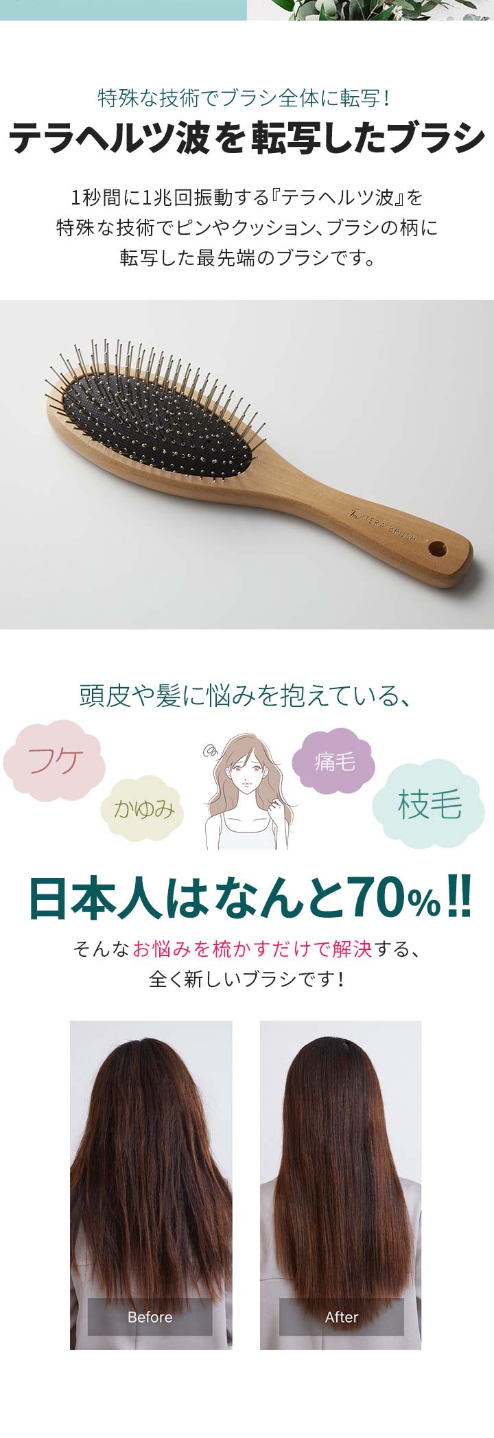 楽天市場】正規品 TERA BRUSH テラブラシ 21.5cm 木製 ヘアーブラシ