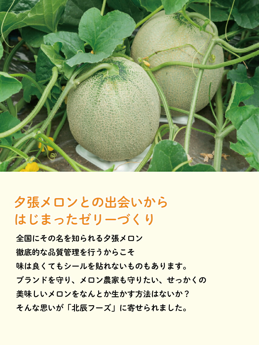 楽天市場】【公式ショップ】北辰フーズ 夕張メロン ひとくちゼリー 18