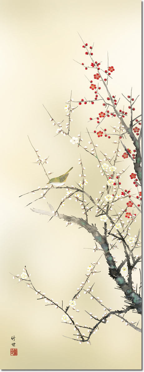 春の掛け軸 紅白梅に鶯 田村竹世 尺五 本表装 床の間 花鳥画 モダン