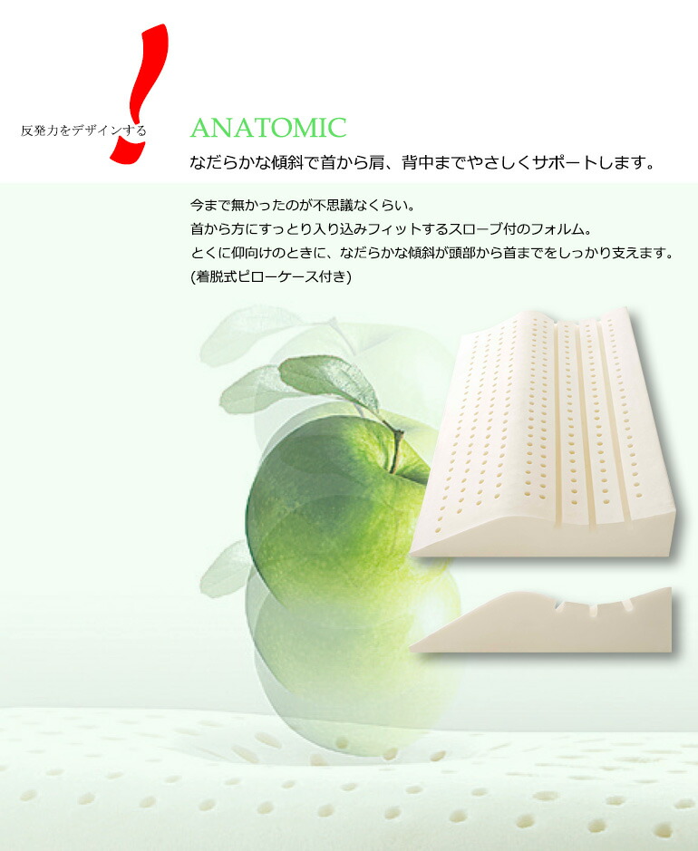 楽天市場】【正規販売店】シーリー 枕 ラテックスピロー アナトミック