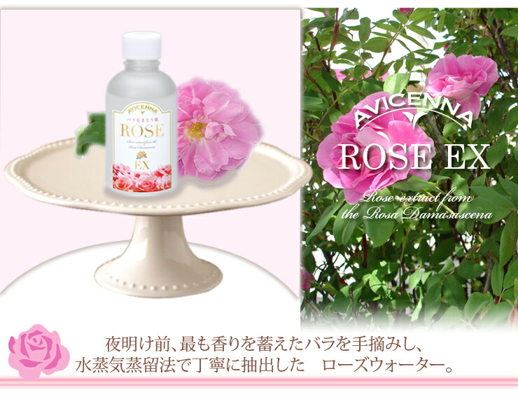 楽天市場】ミューフル ROSE EX（R EX） 60ml /メーカー公認店/正規品