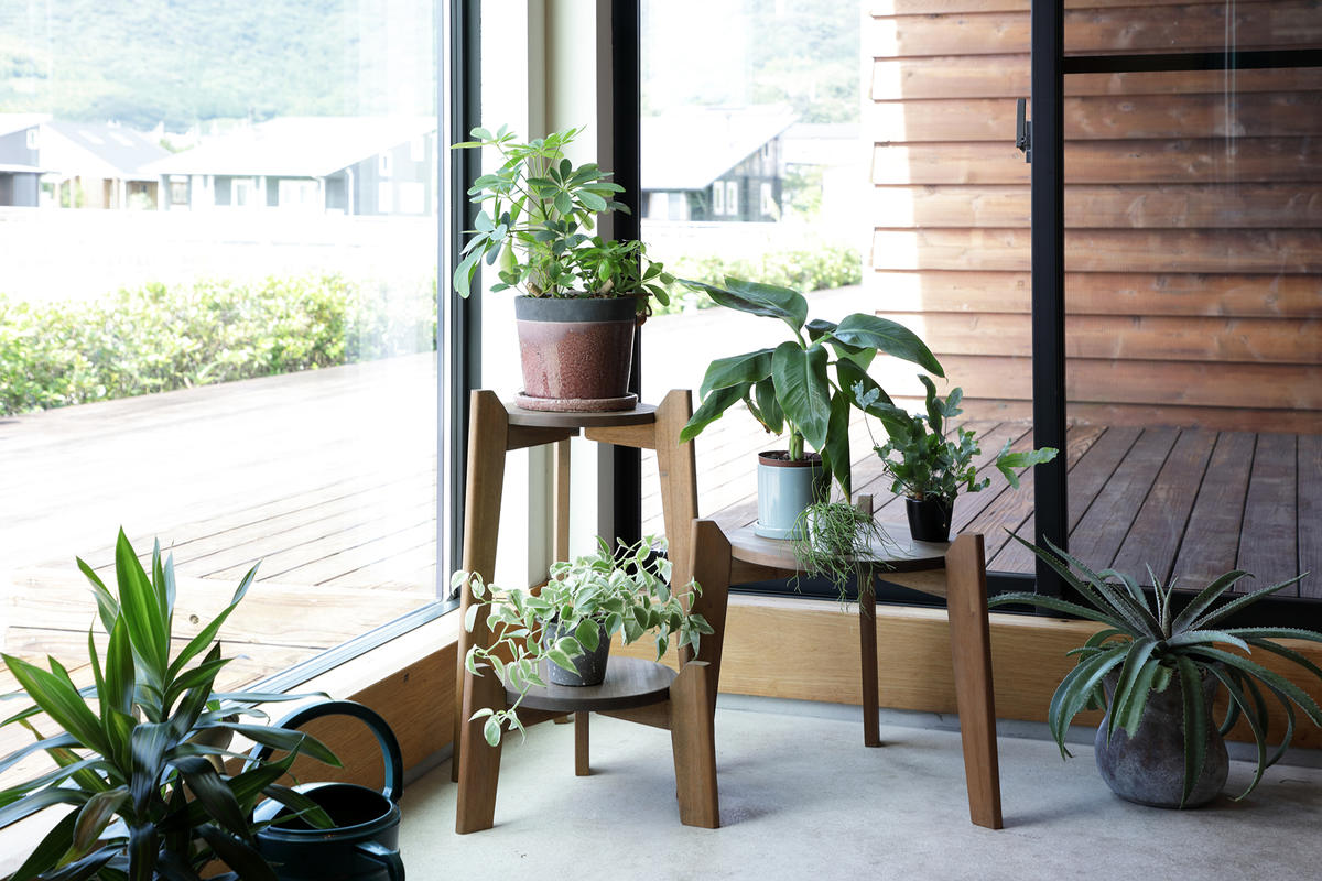 楽天市場】花台 Jardin Plants Table set 木製 （ プランタースタンド