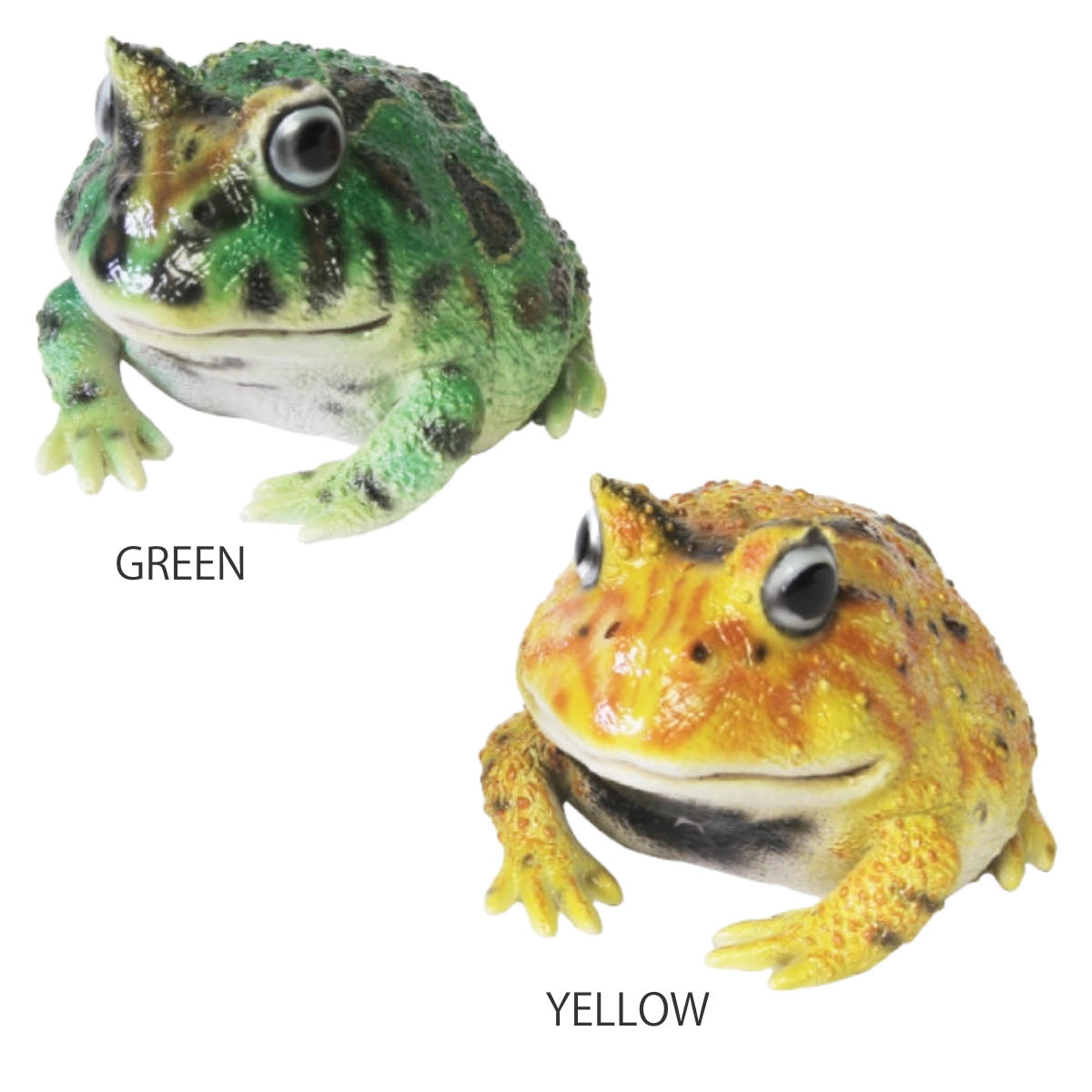 楽天市場】オブジェ REPTILES MAG ツノガエル （ クリップホルダー