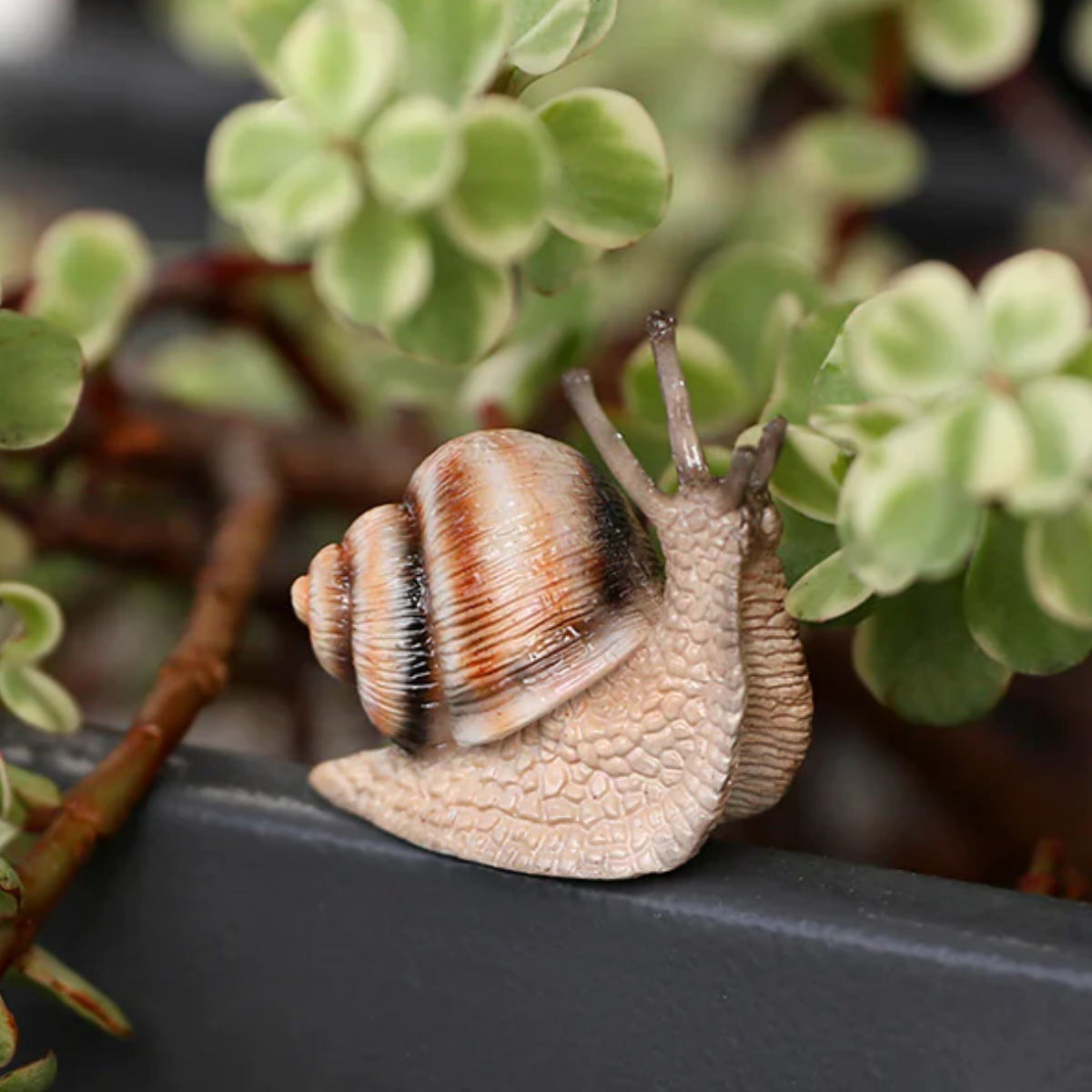 楽天市場】オブジェ FOREST MAG カタツムリ （ クリップホルダー
