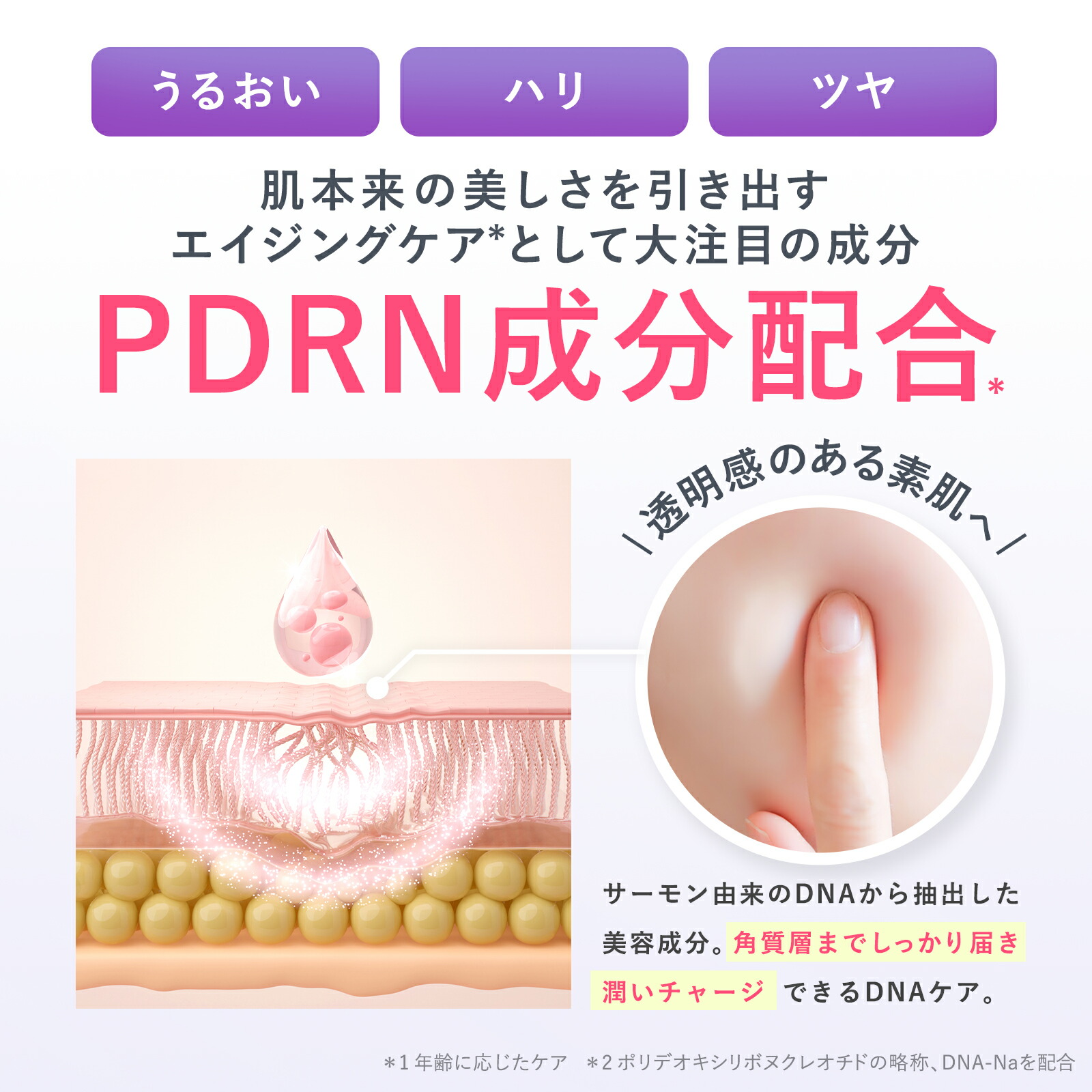 楽天市場】PLUEST RFハイドレーティングクリームR 3本 公式 保湿