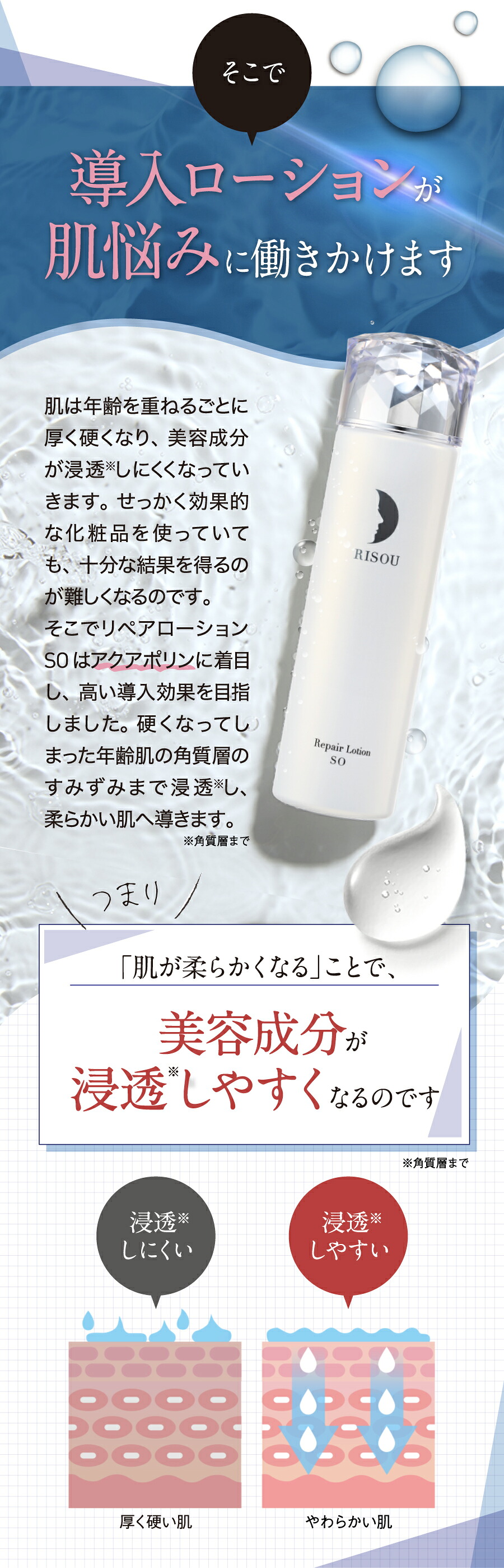 楽天市場】【15％OFF×P5倍 マラソン限定】【リソウ公式】リペア