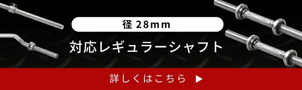 アイアンプレート20kg(1枚)【穴径29mm】 IROTEC (アイロテック)