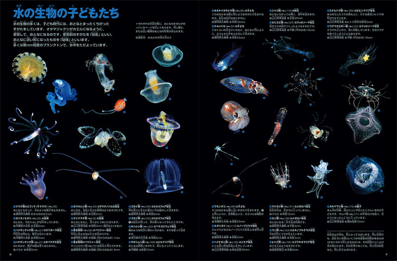 楽天市場】小学館 図鑑NEO DVDつきセット （既16巻） '21年度 : 脳トレ生活