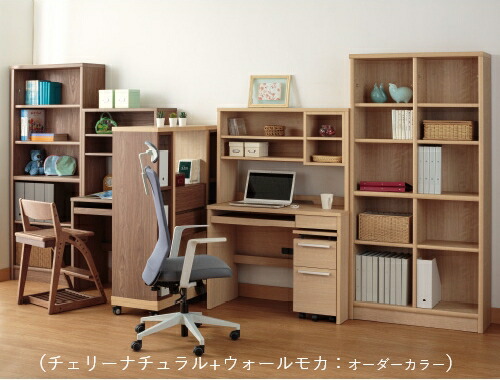 小島工芸 COM-1 C1B-120H書棚 ウォールモカ 書斎デスク テレワーク