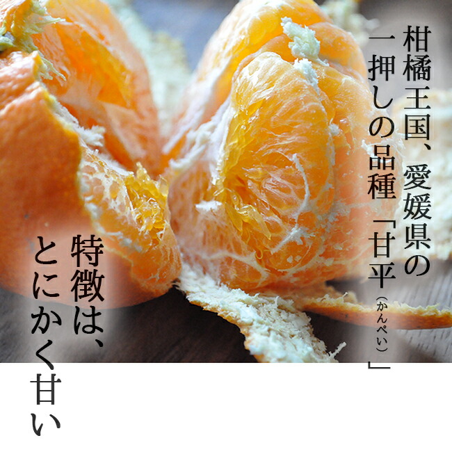 楽天市場】甘平 訳あり 10kg 【500g増量中】 みかん 送料無料 愛媛