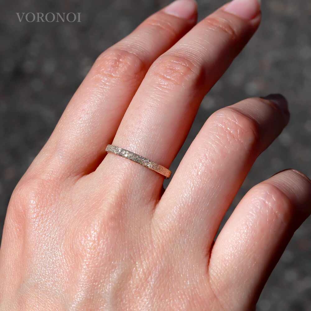 vo0034r_model01.jpg