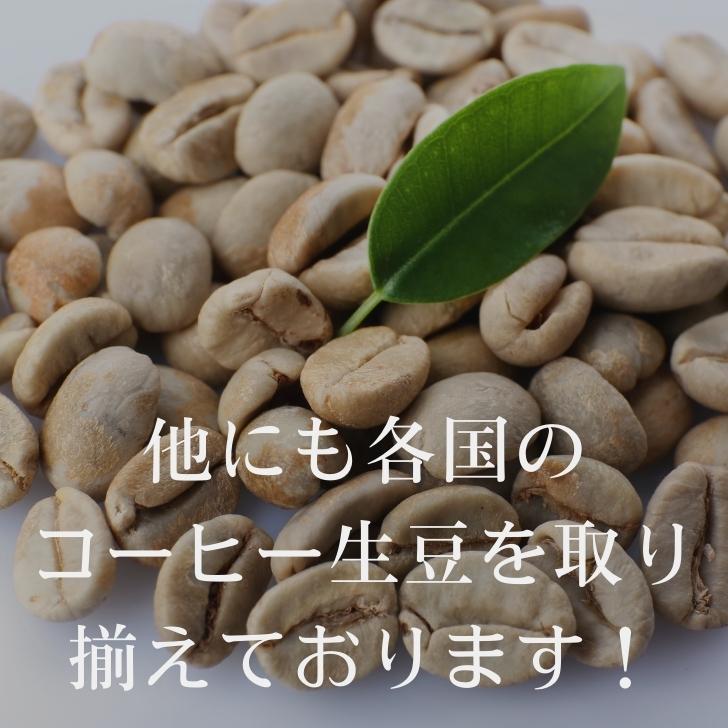 楽天市場】コーヒー生豆 タンザニア AA 10kg 送料無料 コーヒー豆