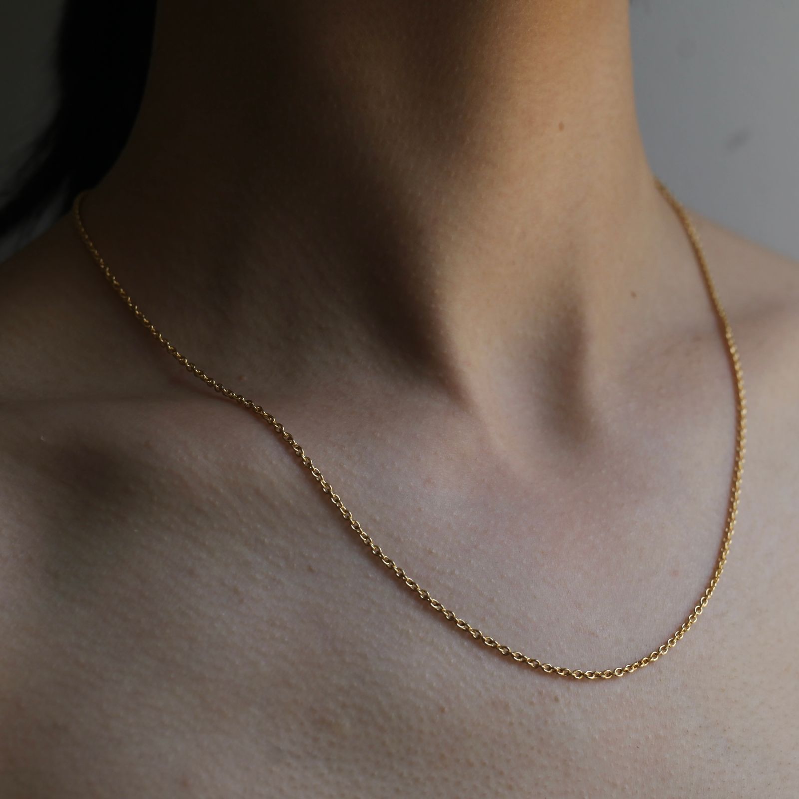 gDXHu8putvL1.jpg?width=768