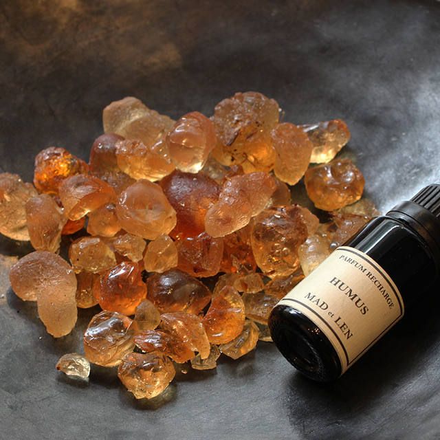 MAD et LEN - 【再販売通知受付可能】ポットポプリ アンバー(HUMUS