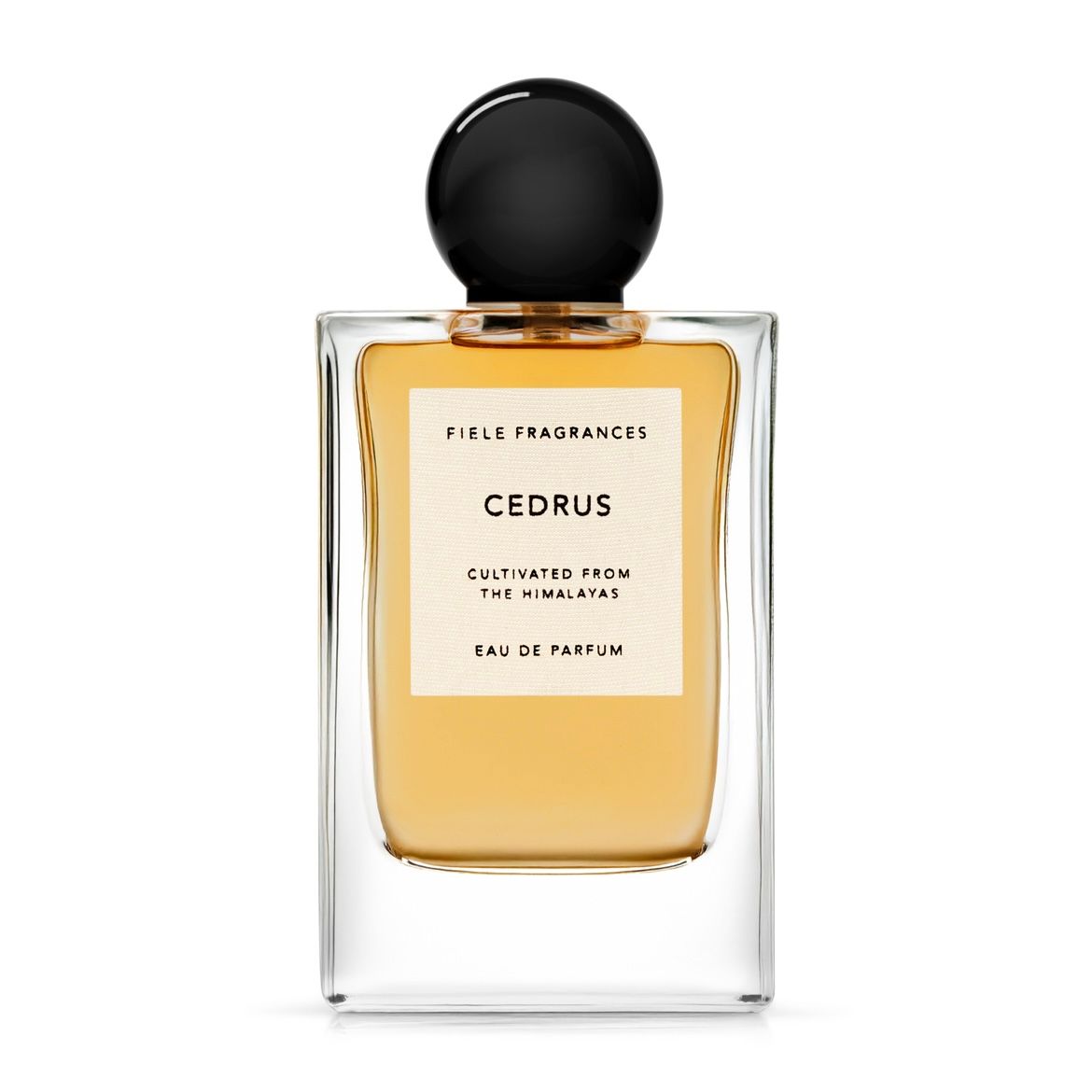 香水(ユニセックス) Fiele Fragrances Santalum 50ml 香水(ユニ