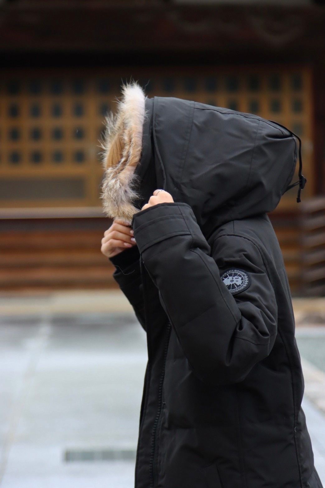 最高級⁄L-XL相当カナダグース カナダグース シャトー ブラックラベル