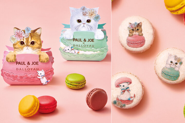 心ときめく猫ニャカロン♪ポール＆ジョー×ダロワイヨ、初のコラボ