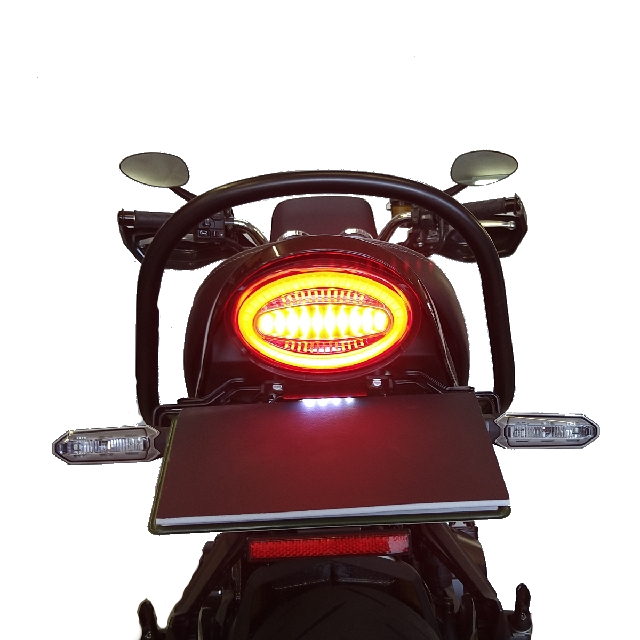 Z900RS CAFE テールランプ　アワビテール z900rs cafe カワサキ Z900RS/CAFE ロングテールカウル用 テールランプバック