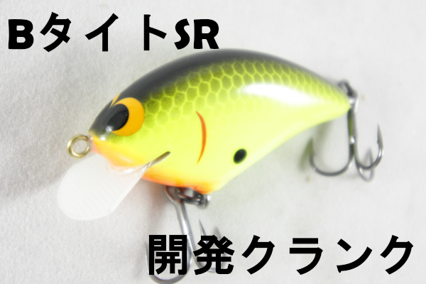 開発クランク チップ BタイトSR オリカラセット 開発クランク チップ B