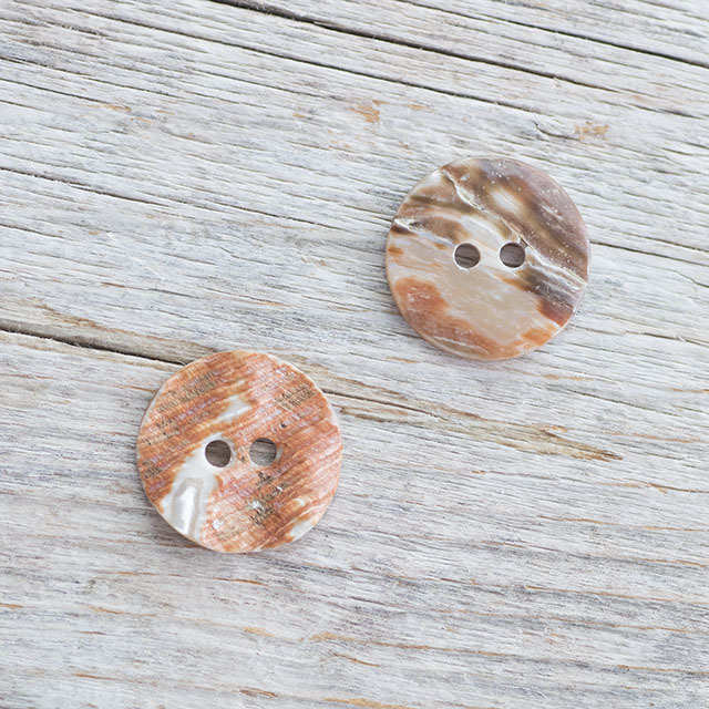 アワビ貝 20mm|貝ボタン□タカシマ□