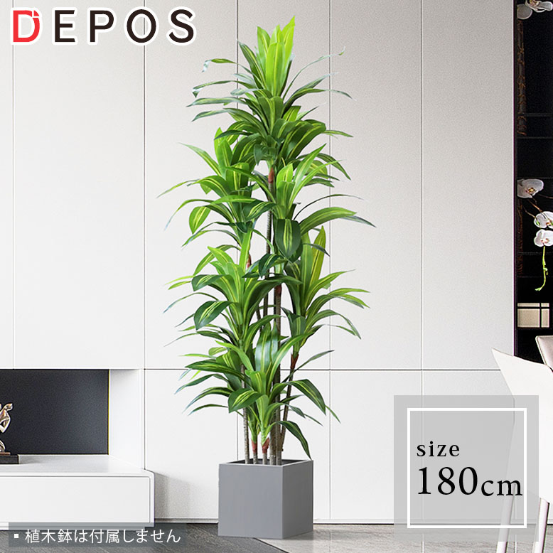 フェイクグリーン ドラセナ 180cm （Brazil tree 180cm ）